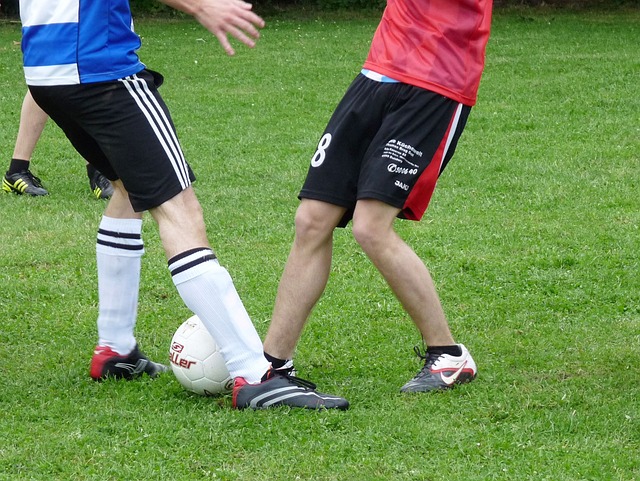 但是否可以 但是否可以