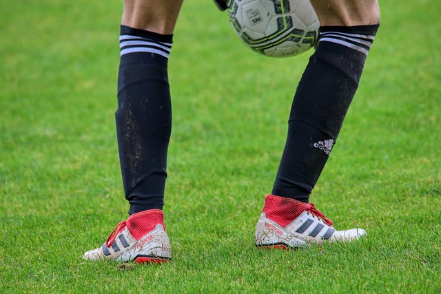 继续走向国 继续走向国