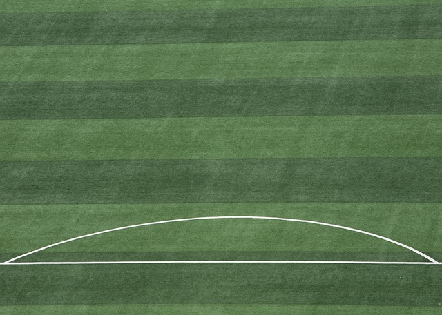 篮球界的薪 篮球界的薪