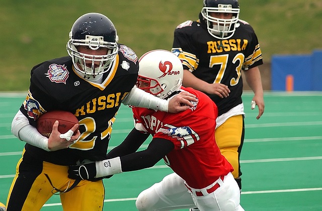 显著的提高 显著的提高